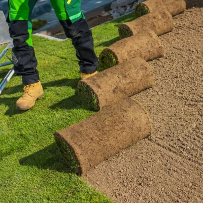 A natural grass turf installation on the ground.