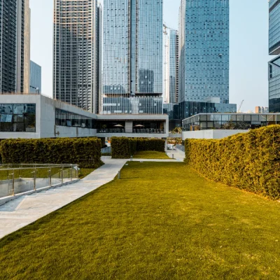 An office building establishment with a natural turf grass on entrance.