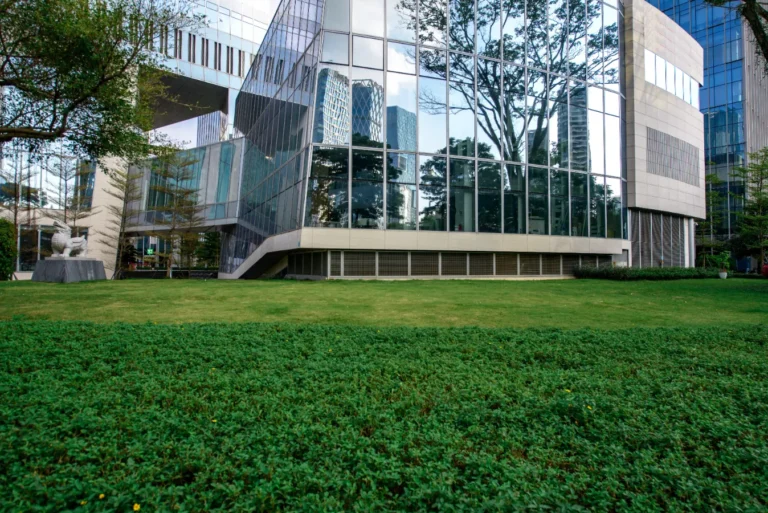 An office building with newly mowed grass.