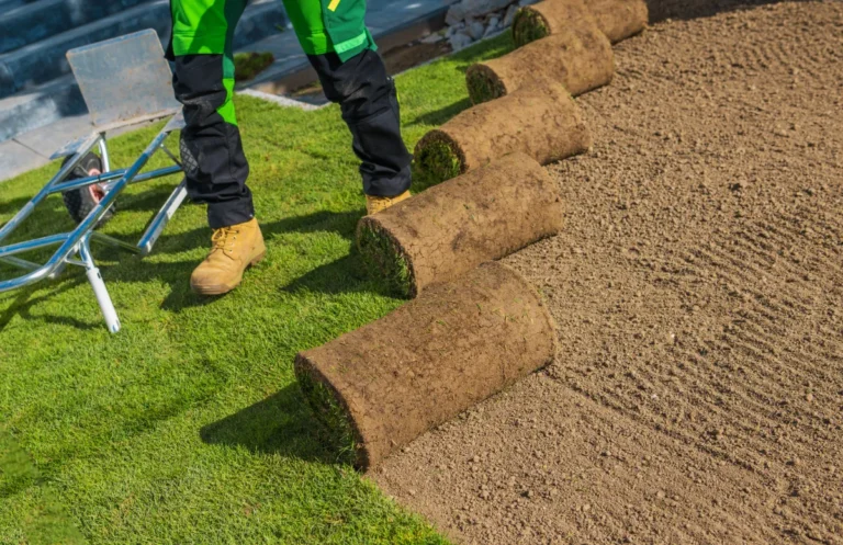 A natural grass turf installation on the ground.